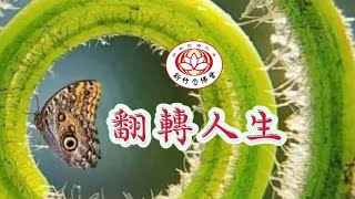 翻轉人生，只能靠佛