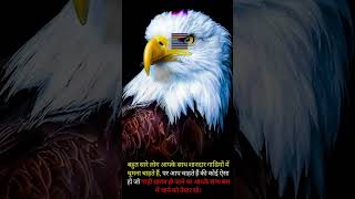 eagle Motivational video