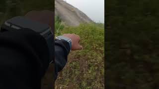 Beautiful Nature of Kalahandi #reels #viral #trending #shots#nature#trickshots#cuelin #unlimitedcoin