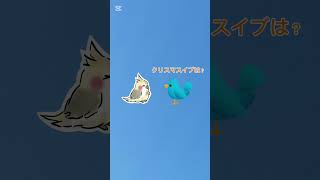 クリスマス遊ぼうよ〜鳥さん#short#鳥