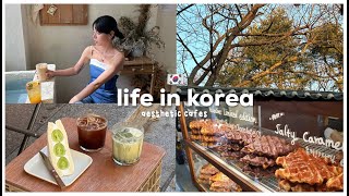 LIFE IN KOREA 🇰🇷 aesthetic cafes + ketchup with friends ☕🌸  | Erna Limdaugh
