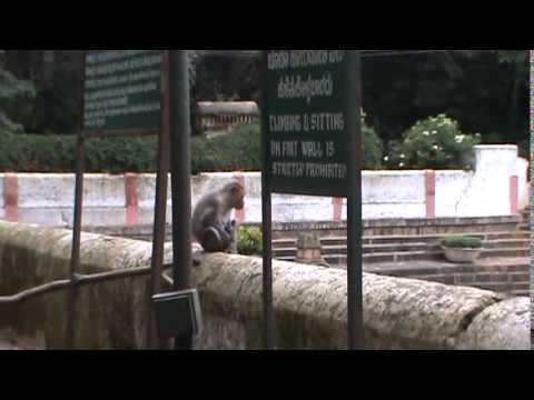illegal activity in nandi hills