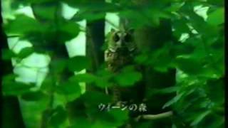 （1996）　三和酒類　いいちこ　CM