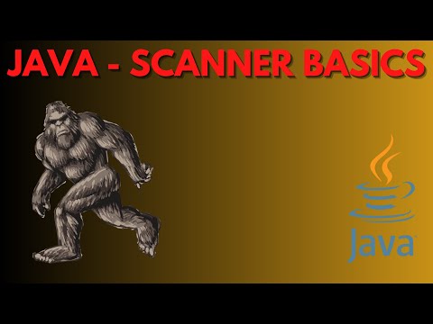 004 Scanner Basics -  Get Input from the User