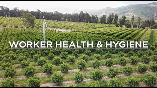 Fruit and Vegetable Food Safety Training Video for Field Employees