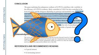 Omega-3 & EFAs explained – flaw in vegan/WFPB diet? (The complete guide)