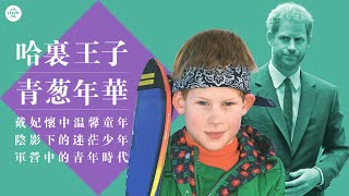哈里王子的青少年時代 Prince Harry Days of Youth 哈利王子的童年