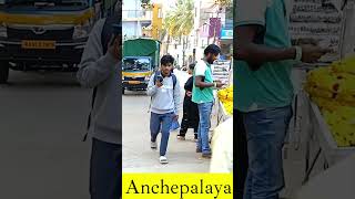 Anchepalaya