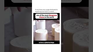CASU MARZU CHEESE