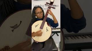 Zhongruan Day 4 #music #ruan #musicians #classicalmusician #musicislife #musician #classicalmusic