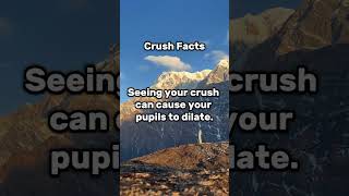 Crush facts #crushfacts #facts #crush