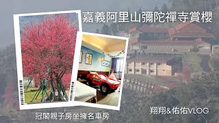 嘉義阿里山彌陀禪寺八重櫻 超美日落夕陽美景｜【嘉義住宿】嘉義親子飯店｜冠閣大飯店 入住會讓小小孩瘋狂的坐擁名車房 嘉義文化路夜市｜[阿里山之旅EP2]