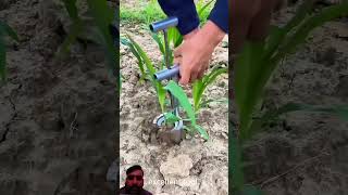 amazing farming tips ideas agriculture #farming #agriculture #garden #tools #shorts #toptools