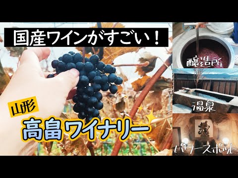 高畠ワイナリー＆赤湯温泉｜日本のワインのレベルにびっくり！｜パワースポットのある温泉旅館も満喫の旅｜ワイン好きVlog🍷｜フランス政府公認ガイド