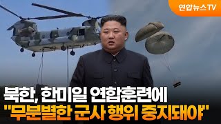 북한, 한미일 연합훈련에 "무분별한 군사 행위 중지돼야" / 연합뉴스TV (YonhapnewsTV)