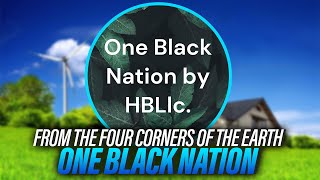 ONE BLACK NATION - Officially Declare Black History 365 Days a Year!!!