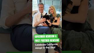 Governor & First Partner #Newsom Celebrate #California #AdoptAPetDay!  #shorts #puppies #pets #dogs