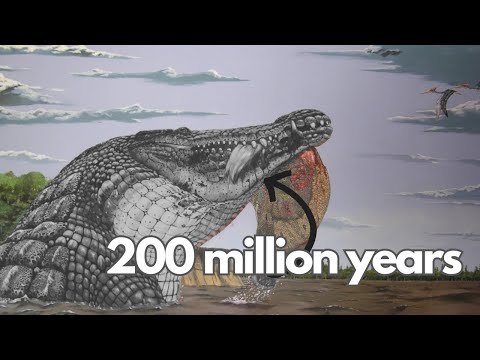 This Animal Has Been At The Top Of The Food Chain For 200 Million Years…