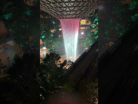 HSBC Rain Vortex - Jewel Changi Airport / Singapore City Nature