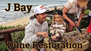 WSL J Bay Open: Supers Dune Restoration: A Success story!