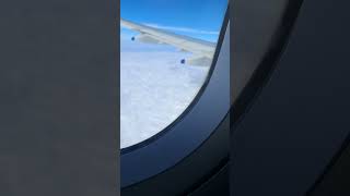 Into the sky
