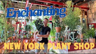 Plant Shop in Brooklyn 🇺🇸 Brimming With Passion & Creativity + Plant Recommendations for Apartments