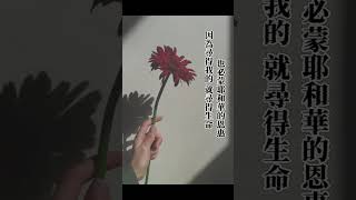 🌏我們被造的目的❤️享受愛❤️