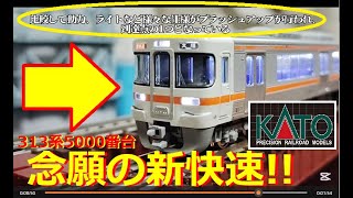【Nゲージ開封】KATO 313系5000番台「新快速」 メンテナンス、室内灯取り付け【鉄道模型】