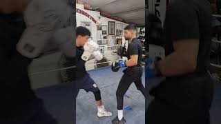 Defending 2 looping shots #lionsahc #englandboxer #boxing #boxingdrills #boxingfans #boxingvideos