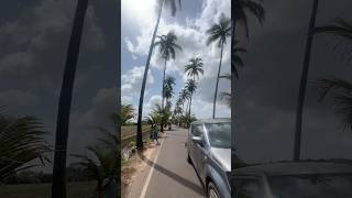 Parra Road Goa #parraroad #goa #dearzindagi #goatour