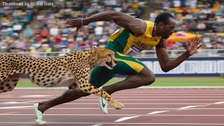 Usain Bolt vs Cheetah | 3D Speed Comparison