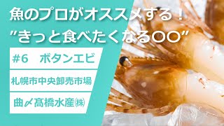 #6 ボタンエビ【魚のプロがおすすめする！”きっと食べたくなる○○”】