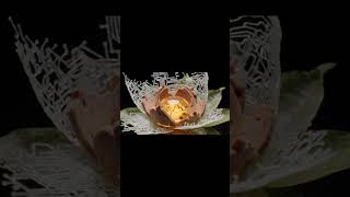 #soothingmusic#flowers #food#relaxing#foodie#flowerart#art #viralchallenge #calmmusic #calmingmusic