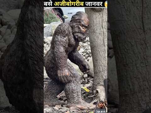 😱😱 #amazingfacts #animals #factsinhindi #interestingfacts #knowledge #factsero #viralvideo #facts