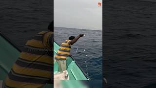 Catching Rosy Snapper in the Deep Sea #fishing #fishingvideo #fishingtime