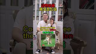 动物幼崽英文怎么说 #英语口语 #英语 #生活英语 #亲子英语 #英语启蒙