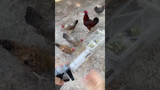This speed loader alone makes the Tippmann M4-22 worth it...