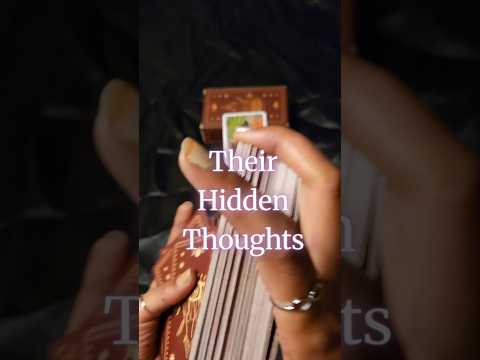 Their Hidden Thoughts🪬 #timelesstarotreading #nocontact #tarot #tarotreader #lovereading