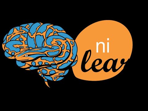 Nilearn Dev Days 2020 - Software day, Introduction by Gaël Varoquaux