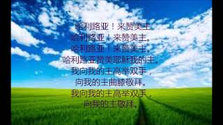 哈利路亚来赞美主！