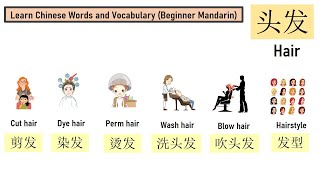头发 发型 Hair Hairstyle, 学中文 学汉语 Learn Chinese Words and Vocabulary (with English)