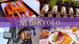 【京都旅行vlog】京都日帰り観光♪人気スポットを巡る食べ歩きの旅♡錦市場｜八坂神社｜清水寺｜高台寺｜祇園