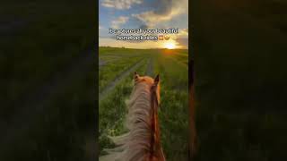 Get yours at eyepov.com 🐎 #equestrian #horserider #horselife