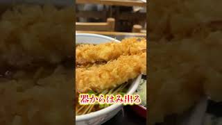 【浅草名物】超巨大「車エビ天」ののった、絶品そばの名店。明治から続く尾張屋本店#shorts