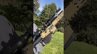 AR-10 con mira telescópica .308 Win 🎯🔭