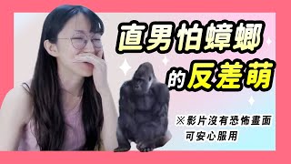 【小熊】男生怕蟑螂的反差萌，失聲尖叫超好笑（內無恐怖蟲畫面）｜小熊實況精華