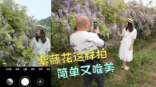 手机摄影减法秘籍！紫藤&普通场景秒变大片｜构图×光影全攻略