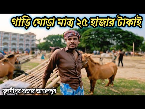 গাড়ি ঘোড়ার দাম জানুন || ঘোড়ার গাড়ির দাম || তুসিপুর ঘোড়ার হাট ভিডিও
