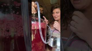 Blackberry Wine Update #wine #homemadewine #blackberry #blackberrywine