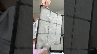 Air purifiers are a MUST with pets